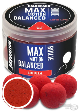 Kulki proteinowe Haldorado Max Motion Balanced Boilie 20mm Duża Ryba