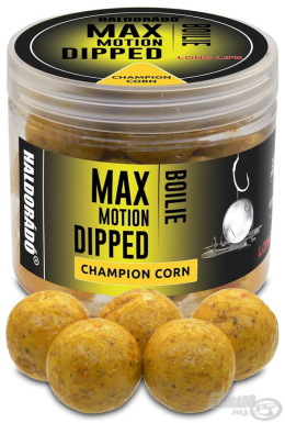 Kulki proteinowe Haldorado Max Motion Dipped Boilie 20mm Champion Corn Kukurydza