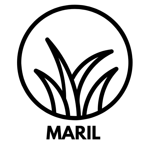  MARIL 